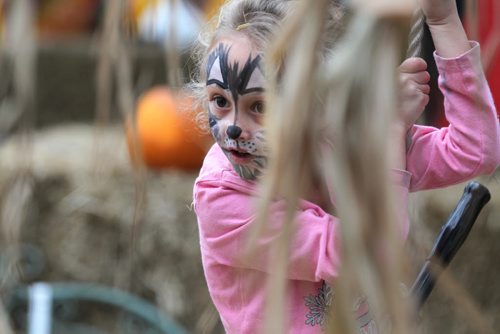 Six-year-old Kaili Marrese rides zip lines and plays in the stacks of hay in the Fun Zone at Shelmerdines open daily till Oct 31/15. Standup photo    Oct 27, 2015 Ruth Bonneville / Winnipeg Free Press