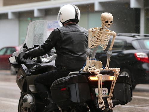 Paul Peters rides his motorcycle on York Avenue downtown with a replica skeleton (Peters calls him Gord) on Oct. 31, 2015. Photo by Jason Halstead/Winnipeg Free Press