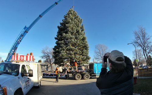 Ron Gerth takes some photos as crews work to cut and load the 40-foot Colorado Blue Spruce from the front yard of his home on Doubleday Drive before being brought to City Hall as Winnipeg's Christmas Tree.  151108 November 08, 2015 MIKE DEAL / WINNIPEG FREE PRESS