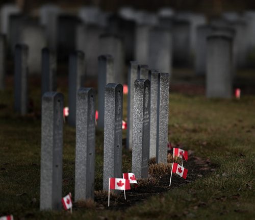 Brookside Cemetery' Field of Honor re: Jenn Z.'s story November 9, 2015 - (Phil Hossack / Winnipeg Free Press)