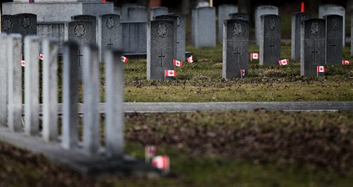 Brookside Cemetery' Field of Honor re: Jenn Z.'s story November 9, 2015 - (Phil Hossack / Winnipeg Free Press)