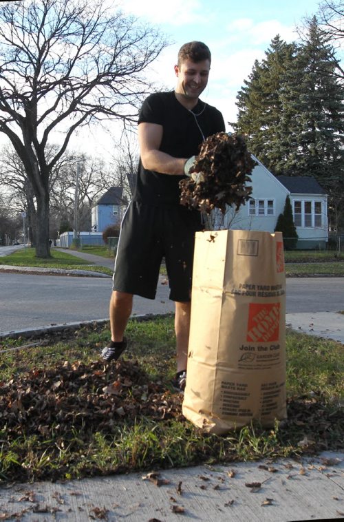 Kevin Humphreys wears his shorts and t-shirt while raking leaves on Saturday afternoon in balmy late fall weather,   Standup photo  Nov 14, 2015 Ruth Bonneville / Winnipeg Free Press