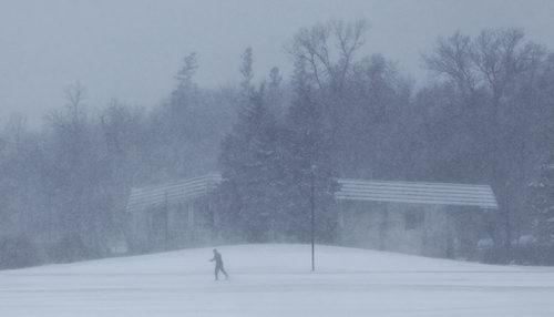 An intrepid skier takes on the blowing snow at Assiniboine Park Thursday afternoon.  151119 November 19, 2015 MIKE DEAL / WINNIPEG FREE PRESS