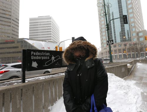 Sheryl Maxwell at a blustery Portage and Main Thursday afternoon heads to the pedestrian underpass to cross Main Street Randy Turner weather story Wayne Glowacki / Winnipeg Free Press Nov. 19   2015