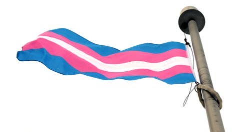 The transgender flag was raised Friday morning in honour of Transgender Remembrance Day on a flag post on the  east side of Memorial Park, halfway between Broadway and York Avenue. Wayne Glowacki / Winnipeg Free Press Nov. 20   2015