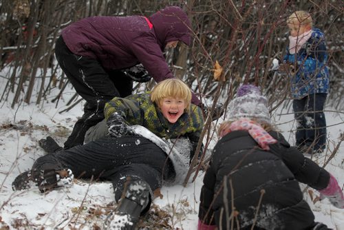 Seven-year-old Marcus Huebner piles on his friends dad, Justin Neufeld as his siblings and friends attack their dads with freshly-fallen-snow while having snow fights in the forest along Omands Creek Friday afternoon.   Standup photo Nov 20, 2015 Ruth Bonneville / Winnipeg Free Press