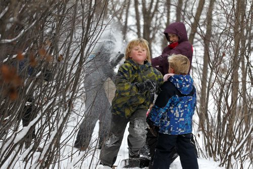 Seven-year-old Marcus Huebner runs for cover as his siblings and friends attack their dads with freshly-fallen-snow while having snow fights in the forest along Omands Creek Friday afternoon.   Standup photo Nov 20, 2015 Ruth Bonneville / Winnipeg Free Press