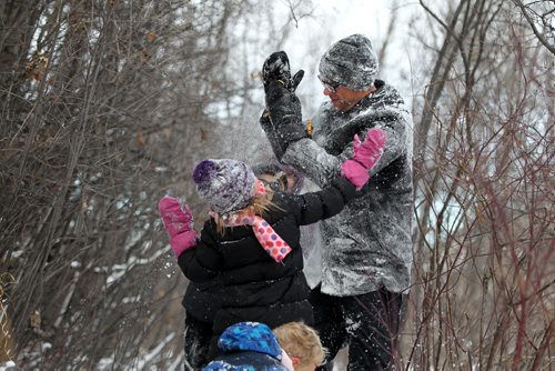 Isabel Neufeld piles snow on her dad Justin with her sisters and friends in the forest along Omands Creek Friday afternoon.   Standup photo Nov 20, 2015 Ruth Bonneville / Winnipeg Free Press