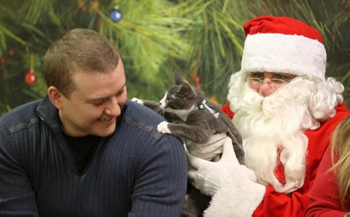 Smokey the cat climbs up John Barnett's shoulder during a portrait session with Santa at Winnipeg Animal Services, Saturday, November 21, 2015. (TREVOR HAGAN / WINNIPEG FREE PRESS)