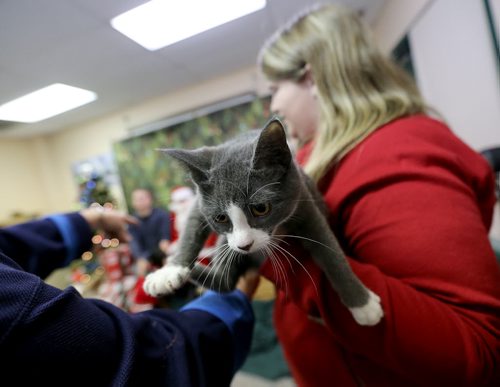 Smokey the cat, and Amber Perkin-Wood preparing for a portrait with Santa at Winnipeg Animal Services, Saturday, November 21, 2015. (TREVOR HAGAN/WINNIPEG FREE PRESS)