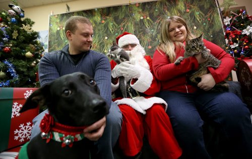 John Barnett, Santa and Amber Perkin-Wood with Princess the dog, and Smokey and Honey the cats, during a portrait session at Winnipeg Animal Services, Saturday, November 21, 2015. (TREVOR HAGAN/WINNIPEG FREE PRESS)