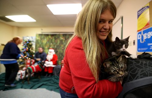 Amber Perkin-Wood gets her cats ready for a photo with Santa during a portrait session at Winnipeg Animal Services, Saturday, November 21, 2015. (TREVOR HAGAN/WINNIPEG FREE PRESS)