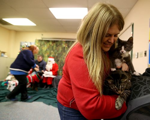 Amber Perkin-Wood gets her cats ready for a photo with Santa during a portrait session at Winnipeg Animal Services, Saturday, November 21, 2015. (TREVOR HAGAN/WINNIPEG FREE PRESS)