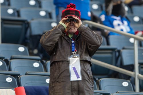 A fan watches the players on the field before the Grey Cup championship game against the Edmonton Eskimos and the Ottawa Redblacks in Winnipeg, November 29, 2015. 151129 - Sunday, November 29, 2015 -  MIKE DEAL / WINNIPEG FREE PRESS