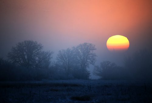 Sunset seen in St.Norbert, Wednesday, December 2, 2015. (TREVOR HAGAN/WINNIPEG FREE PRESS)