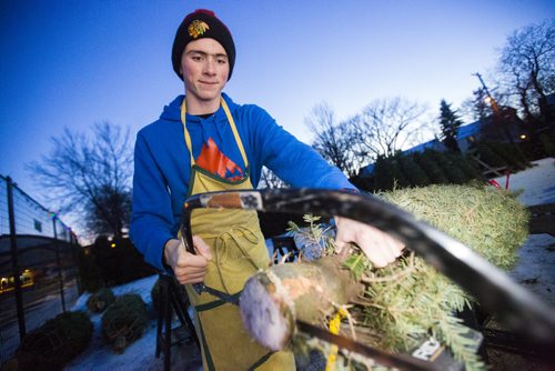 Scout Eric Crooks cuts the end off of a tree at the 67th Winnipeg Scouts Christmas Tree Sale in River Heights in Winnipeg on Thursday, Dec. 3, 2015.   (Mikaela MacKenzie/Winnipeg Free Press)