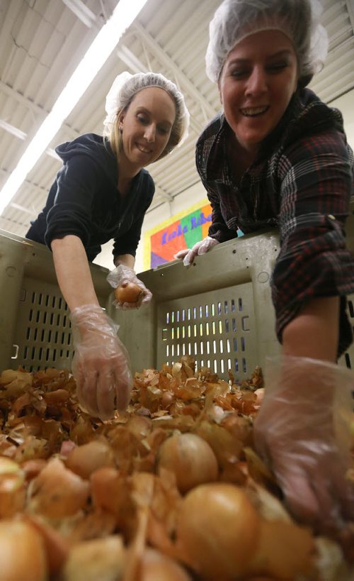 Jeni-Lee Nacci (right) and Jocelyn Best-Franklin sort onions as employees from the RBC advice centre volunteered at Winnipeg Harvest at Winnipeg Harvest on Dec. 17, 2015. Photo by Jason Halstead/Winnipeg Free Press RE: Social Page for Dec. 19, 2015