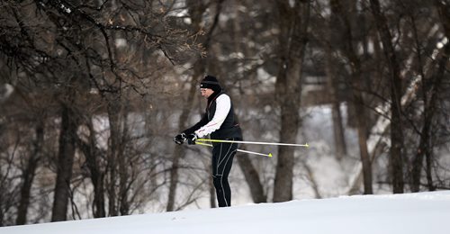 Harvey Peltz enjoys a trail at the Windsor Park Nordic Centre Friday afternoon. Trails are groomed and ready for the weekend after recent snowfall. An adult day pass starts at $5 with a season's pass costing $70 per individual. A family day pass is a bargain at $12/day $135/season all in support of the non-profit facility. December 18, 2015 - (Phil Hossack / Winnipeg Free Press)