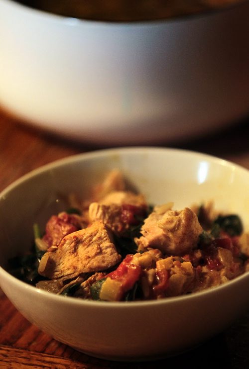 Recipe Swap - Easy Turkey Curry, Se Alison Giolmore's story re: Turket Leftovers. December 21, 2015 - (Phil Hossack / Winnipeg Free Press)