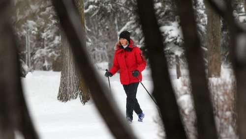 Lois Tessier makes her own cross country ski tracks at Assiniboine Park Wednesday as Winnipeg receives another 10cm of snowfall. Standup photo     Dec 23, 2015 Ruth Bonneville / Winnipeg Free Press