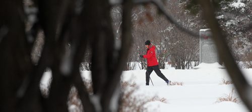 Lois Tessier makes her own cross country ski tracks at Assiniboine Park Wednesday as Winnipeg receives another 10cm of snowfall. Standup photo     Dec 23, 2015 Ruth Bonneville / Winnipeg Free Press