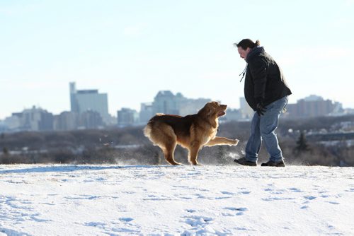 Ryan Kenneth and his dog Berger, a 11/2 year old giant breed of dog called a Leonberger, enjoy a morning walk and play along the edge of Garbage Hill Saturday, on New Year's Day.   Standup  Jan 01, 2016 Ruth Bonneville / Winnipeg Free Press
