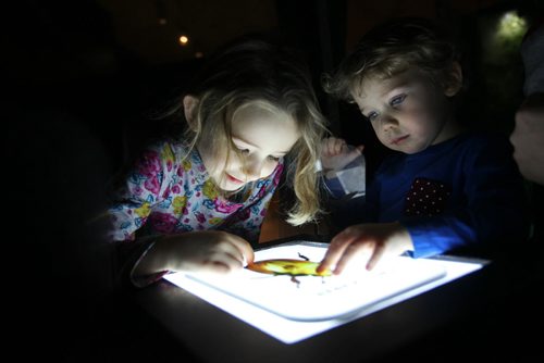 Six-year-old Lydia Dandeneau (left) and her little brother Emery -3yrs, examine the diverse ecosystems living within the Rain Forests in the TREK exhibit, part of Manitoba Museums Earth Explorers which follows National Geographic's explorers venture into the dangerous and remote parts of the world Wednesday with family.   The exhibit runs till April 24, 2016.    Standup photo .   Jan 06, 2016 Ruth Bonneville / Winnipeg Free Press