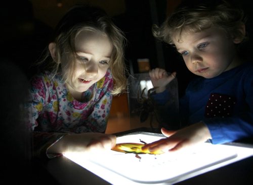 Six-year-old Lydia Dandeneau (left) and her little brother Emery -3yrs, examine the diverse ecosystems living within the Rain Forests in the TREK exhibit, part of Manitoba Museums Earth Explorers which follows National Geographic's explorers venture into the dangerous and remote parts of the world Wednesday with family.   The exhibit runs till April 24, 2016.    Standup photo .   Jan 06, 2016 Ruth Bonneville / Winnipeg Free Press