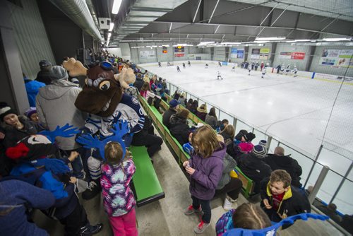 DAVID LIPNOWSKI / WINNIPEG FREE PRESS 160106  Mick E. Moose meets kids in the stands as the Manitoba Moose skate during a community practice on Wednesday January 6 at the Southdale Community Centre.