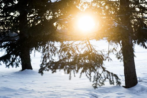 DAVID LIPNOWSKI / WINNIPEG FREE PRESS 160109  The sun sets at Kildonan Park Saturday January 9, 2016.