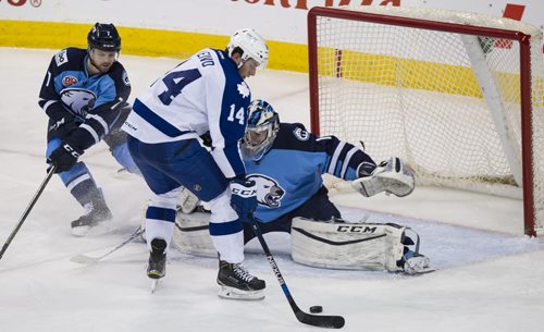 DAVID LIPNOWSKI / WINNIPEG FREE PRESS 160109  Manitoba Moose #1 Eric Comrie makes the save against Toronto Marlies #14 Josh Leivo at MTS Centre Saturday January 9, 2016.