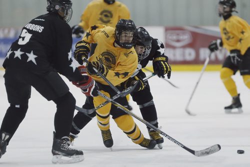January 10, 2016 - 160110  -  Team Gold and Black play in a Winnipeg high school all-star game at the Iceplex Sunday, January 10, 2016.  John Woods / Winnipeg Free Press
