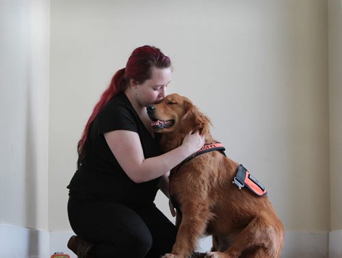 Eighteen-year-old Sam Dubas who is living with PTSD, works with 7-month-old Molly, a golden retriever in a bonding session to train Molly,  to detect when Sam's heart rate rises to prevent her from having seizures at Manitoba Search and Rescue Tuesday.  Although Molly is a quick learner and has already learned how to detect an elevated heart rate in her owner - Sam, the training costs can run into tens of thousands of dollars.  The Dubas family and the Manitoba Equine Expo are holding  fundraiser on Jan 23 to help offset the costs in training and maintaining a service dog.  For more information contact The Manitoba Equine Expo Office.  manitobaequineexpo@gmail.com   Standup photo  Jan 12, 2016 Ruth Bonneville / Winnipeg Free Press