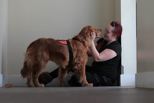 Eighteen-year-old Sam Dubas who is living with PTSD, works with 7-month-old Molly, a golden retriever in a bonding session to train Molly,  to detect when Sam's heart rate rises to prevent her from having seizures at Manitoba Search and Rescue Tuesday.  Although Molly is a quick learner and has already learned how to detect an elevated heart rate in her owner - Sam, the training costs can run into tens of thousands of dollars.  The Dubas family and the Manitoba Equine Expo are holding  fundraiser on Jan 23 to help offset the costs in training and maintaining a service dog.  For more information contact The Manitoba Equine Expo Office.  manitobaequineexpo@gmail.com   Standup photo  Jan 12, 2016 Ruth Bonneville / Winnipeg Free Press