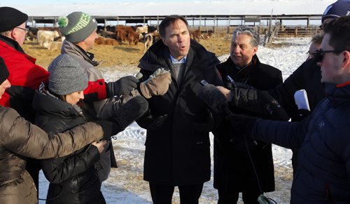 Minister of Finance Bill Morneau in Dugald, MB visiting a cattle farm. It's part of a Pre-Budget Consultations from coast to coast. He visited Calvin Vaag's cattle farm in frigid -20c temps. Here he is swarmed by journalists at the farm. BORIS MINKEVICH / WINNIPEG FREE PRESS January 14, 2016