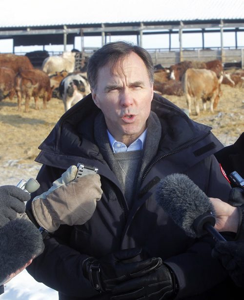 Minister of Finance Bill Morneau in Dugald, MB visiting a cattle farm. It's part of a Pre-Budget Consultations from coast to coast. He visited Calvin Vaag's cattle farm in frigid -20c temps. Here he is swarmed by journalists at the farm. BORIS MINKEVICH / WINNIPEG FREE PRESS January 14, 2016