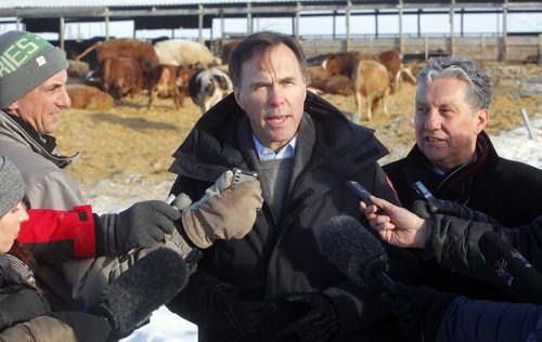 Minister of Finance Bill Morneau in Dugald, MB visiting a cattle farm. It's part of a Pre-Budget Consultations from coast to coast. He visited Calvin Vaag's cattle farm in frigid -20c temps. Here he is swarmed by journalists with Dan Vandal to the right at the farm. BORIS MINKEVICH / WINNIPEG FREE PRESS January 14, 2016
