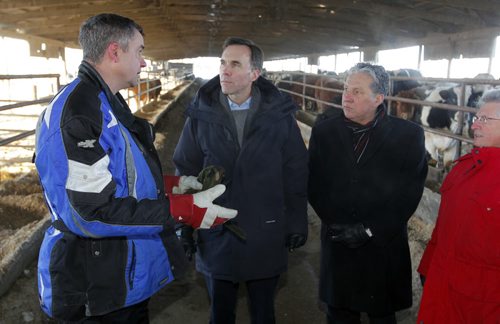 Minister of Finance Bill Morneau in Dugald, MB visiting a cattle farm. It's part of a Pre-Budget Consultations from coast to coast. He visited Calvin Vaag's cattle farm in frigid -20c temps. Left to right - Farmer Calvin Vaag, minister Bill Morneau, Dan Vandal, and Liberal candidate/Dawson Trail Terry Hayward. BORIS MINKEVICH / WINNIPEG FREE PRESS January 14, 2016