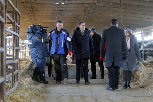 Minister of Finance Bill Morneau (right centre) in Dugald, MB visiting a cattle farm. It's part of a Pre-Budget Consultations from coast to coast. He visited (left in blue) Calvin Vaag's cattle farm in frigid -20c temps. BORIS MINKEVICH / WINNIPEG FREE PRESS January 14, 2016