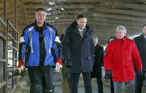 Minister of Finance Bill Morneau (centre) in Dugald, MB visiting a cattle farm. It's part of a Pre-Budget Consultations from coast to coast. He visited (left in blue) Calvin Vaag's cattle farm in frigid -20c temps. Right is Liberal candidate/Dawson Trail Terry Hayward. BORIS MINKEVICH / WINNIPEG FREE PRESS January 14, 2016
