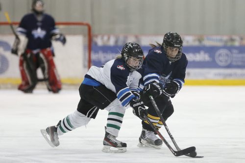 January 17, 2016 - 160117  -  Grey Vets' Emma Leipsic (11) (L) and Blue Vets' Paige Cartoni (3) dig for the puck during first period in the Winnipeg High School hockey veterans All Star game at the Iceplex Sunday, January 17, 2016.  John Woods / Winnipeg Free Press
