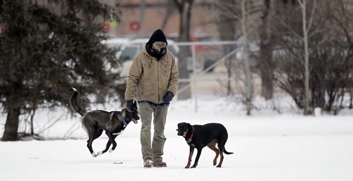 A dog owner and his dogs stroll in the current dog park situated in the path of the William R. Clement Parkway in Charleswood Tuesday. See Ashley Prest story. January 19, 2016 - (Phil Hossack / Winnipeg Free Press)