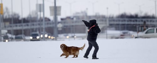 A dog owner heaves a ball towards the looming William R. Clement Parkway in Charleswood Tuesday. See Ashley Prest story. January 19, 2016 - (Phil Hossack / Winnipeg Free Press)