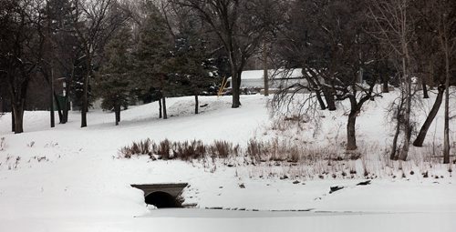 A storm sewer outlet near St Johns Park where raw sewage has been leaking into the Red River. Aldo Santin story.  January 20, 2016 - (Phil Hossack / Winnipeg Free Press)