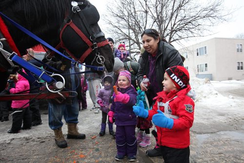 Three-year-old Niclo Baptiste (red) and Zoe Striemen (pink) feed carrots to  horses  at the 9th annual West Broadway Snoball Saturday.  Jan 30, 2016 Ruth Bonneville / Winnipeg Free Press