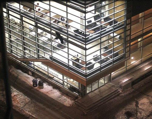 A Raven swoops low over the U of M's Apotex Center (Faculty of Pharmacy) on McDermot st. in the HSC complex Monday evning. See story.....February 1, 2016 - (Phil Hossack / Winnipeg Free Press)