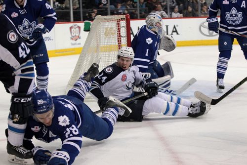 Manitoba Moose #24 Scott Kosmachuk gets tripped next to Toronto Marlies net during the second period of action at the MTS Centre Thursday.  The score after the 2nd period is 4 - 0 for Toronto.   February 04, 2016 Ruth Bonneville / Winnipeg Free Press