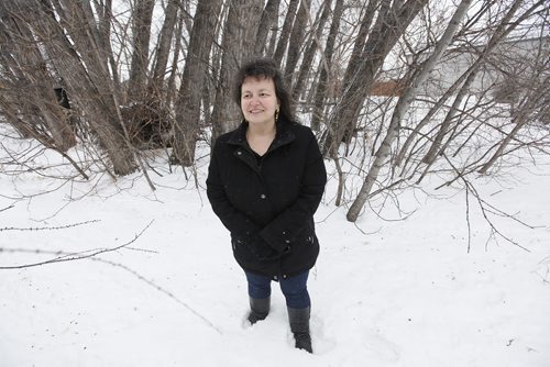 February 7, 2016 - 160207  -  Olga Mokriy attends to bird feeders at an ecological reserve behind her property on Aberdeen Avenue Sunday, February 7, 2016. There is an administrative report on Mondays protection, community services and parks agenda that calls for the renaming of Shaughnessy ecological reserve to the Mokriy ecological reserve. This reserve is a small bit of city-owned green space behind some row housing on Aberdeen Avenue. The family lobbied the city to protect the land when houses were being developed and has been looking after the park, putting out bird feeders and cleaning it up. Now, the city wants to rename the ecological reserve after the Mokriy family.  John Woods / Winnipeg Free Press