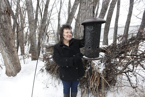 February 7, 2016 - 160207  -  Olga Mokriy attends to bird feeders at an ecological reserve behind her property on Aberdeen Avenue Sunday, February 7, 2016. There is an administrative report on Mondays protection, community services and parks agenda that calls for the renaming of Shaughnessy ecological reserve to the Mokriy ecological reserve. This reserve is a small bit of city-owned green space behind some row housing on Aberdeen Avenue. The family lobbied the city to protect the land when houses were being developed and has been looking after the park, putting out bird feeders and cleaning it up. Now, the city wants to rename the ecological reserve after the Mokriy family.  John Woods / Winnipeg Free Press
