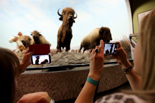 Sisters, Kathryn and Karolyn Maslanka taking photos during Safari Night at the Manitoba Museum, where people were taking guided tours with photography tips, Thursday, February 11, 2016. (TREVOR HAGAN/WINNIPEG FREE PRESS)